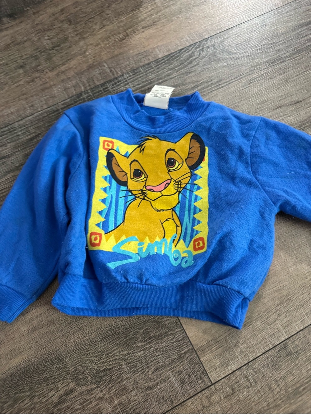 Disney Blue Simba Graphic Kids Sweatshirt